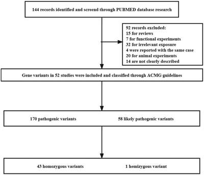 Exploring the relationship between IGHMBP2 gene mutations and spinal muscular atrophy with respiratory distress type 1 and Charcot-Marie-Tooth disease type 2S: a systematic review